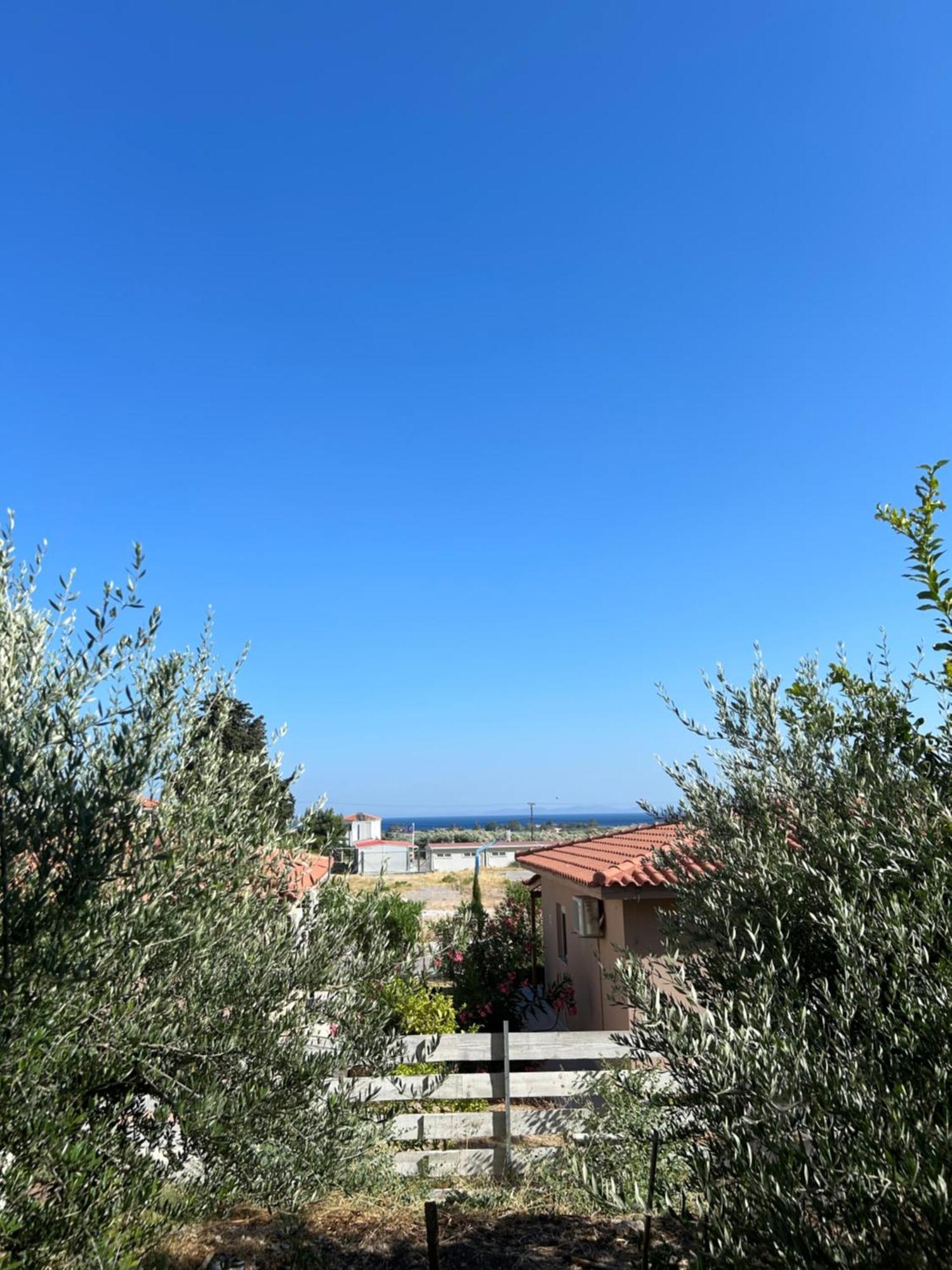 Noema House I Apartment Naxos City Ngoại thất bức ảnh